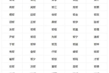 晚上1点出生的属鼠男孩取名大全姓名