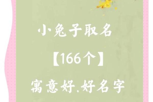 给属兔午时出生的男孩起名推荐的字和名字姓名 给属兔午时出生的男孩起名推荐的字和名字姓名
