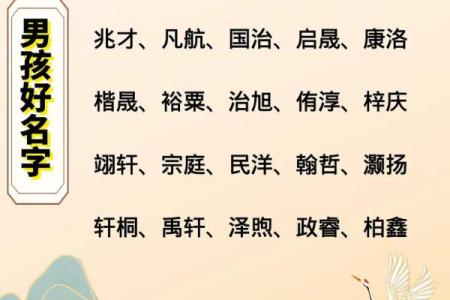 属狗亥时出生的男孩怎样起名，宜用哪些姓名