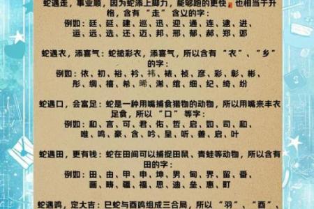 凌晨3点出生的属蛇男孩如何起名，宜用什么字姓名