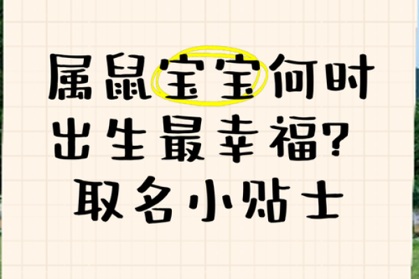 给属鼠子时出生的男孩取名的小妙招姓名
