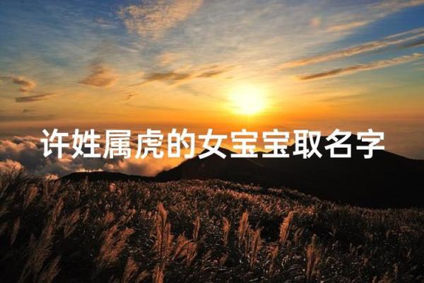 11月份出生的属虎男孩要怎样取名字姓名
