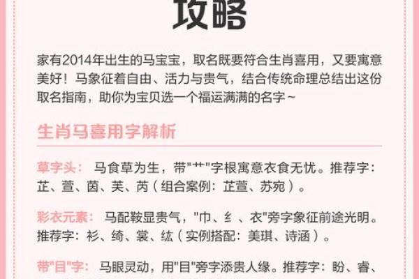 2月份出生的属马男孩起什么名字好姓名