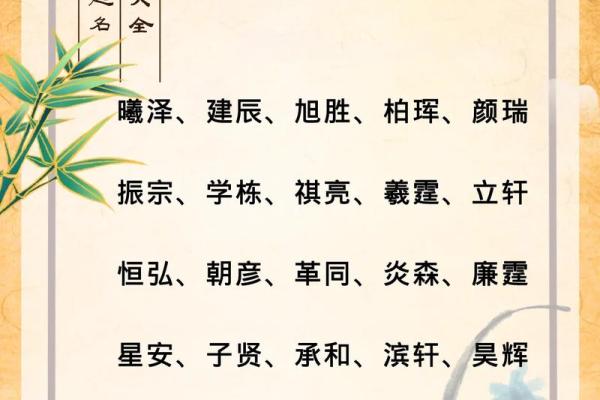 2019年4月23号卯时出生的男孩应该起什么样的名字姓名