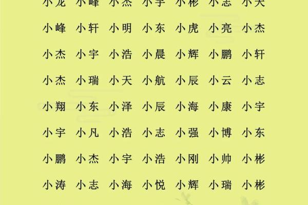给凌晨2点出生的属鼠男孩取名字要用什么字姓名