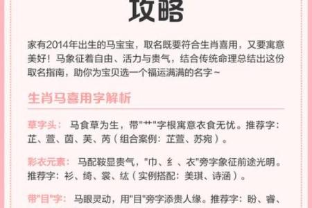 2月份出生的属马男孩起什么名字好姓名