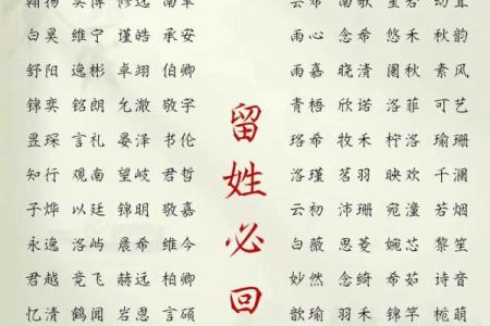 2019年5月18号子时出生的男孩起名时要注意什么姓名