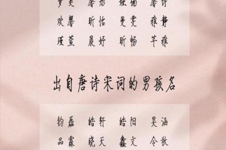 2019年5月22号寅时出生的男孩起名方法姓名