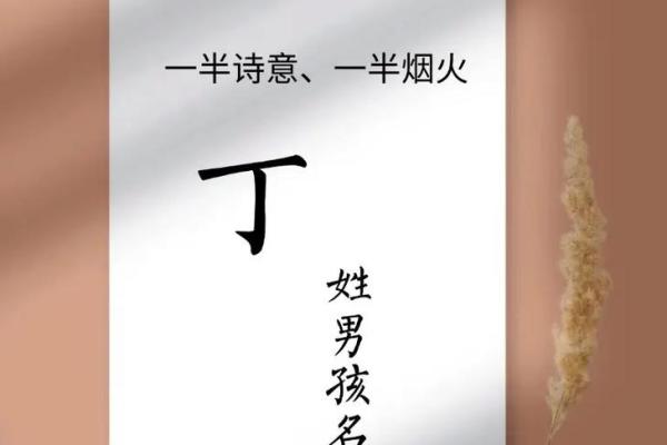 丁姓男孩名字大全-丁姓男孩起名字大全-丁姓名字大全姓名