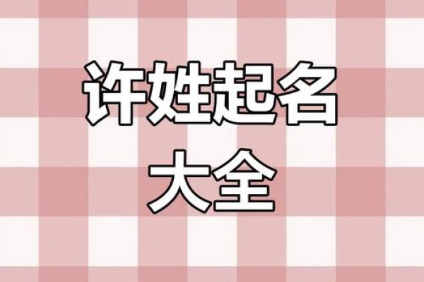 姓许的名人-名人大全-姓名学-华易算命网姓名 姓许的名人-名人大全-姓名学-华易算命网姓名