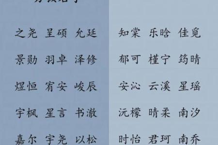 2019年6月28号寅时出生的男孩要怎么起名字姓名