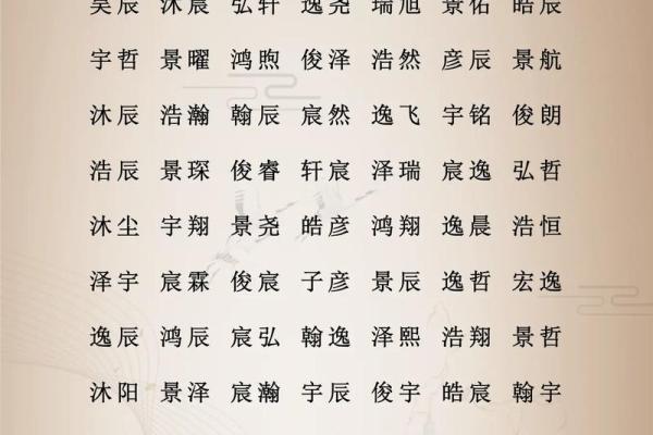 什么字给晚上9点出生的属鸡男孩取名字合适姓名