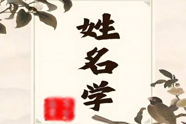 怎样从姓名看人的性格-姓名学-华易算命网姓名