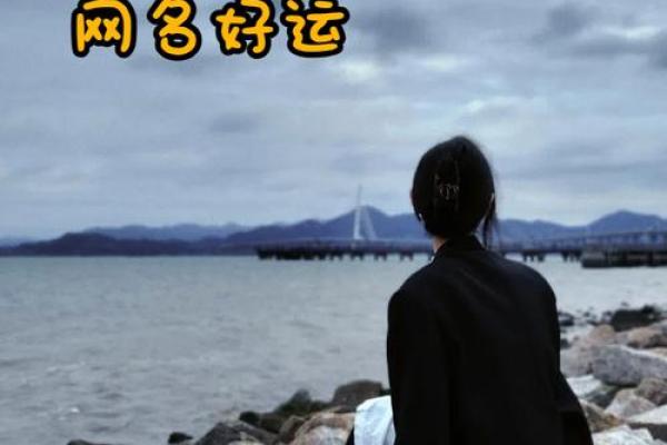 晚上十二点出生的属羊男孩如何起名,宜用什么字姓名 晚上十二点出生的属羊男孩如何起名,宜用什么字姓名