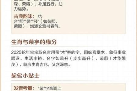 属猴亥时出生的男孩起什么名，宜用什么字姓名