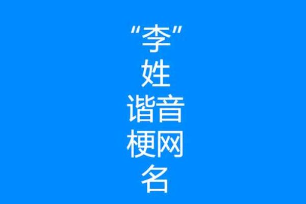 李姓男孩名字大全-李姓男孩起名字大全-李姓名字大全姓名