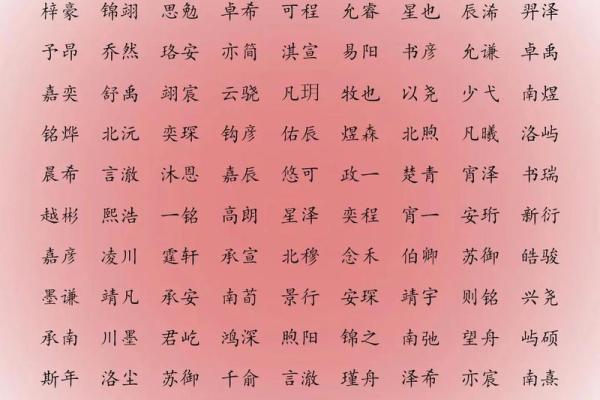 属狗子时出生的男孩该如何起名,宜用哪些字姓名 属狗子时出生的男孩该如何起名,宜用哪些字姓名