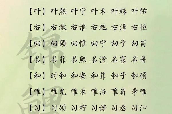 双胞胎宝宝起名注意7个事项和三个准则-姓名学-华易网姓名