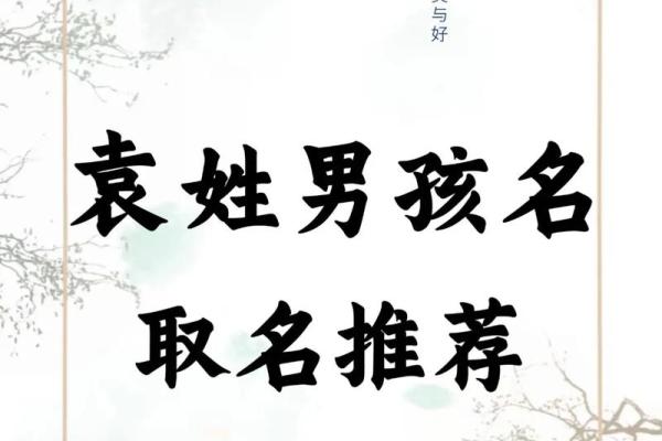 袁氏家族的字辈排行和家谱记载-姓名学-华易网姓名
