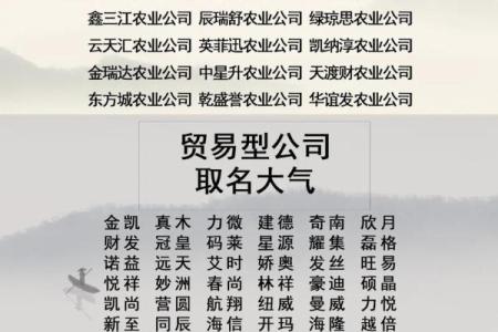 商贸公司名称大全-名字大全姓名