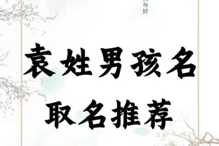 袁氏家族的字辈排行和家谱记载-姓名学-华易网姓名